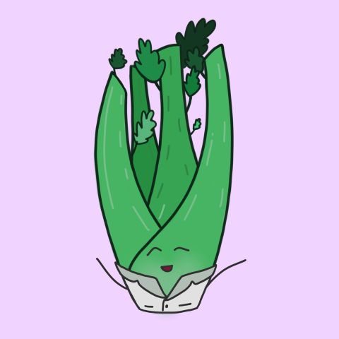 A a chibi style stalk of celery wearing a lab coat.